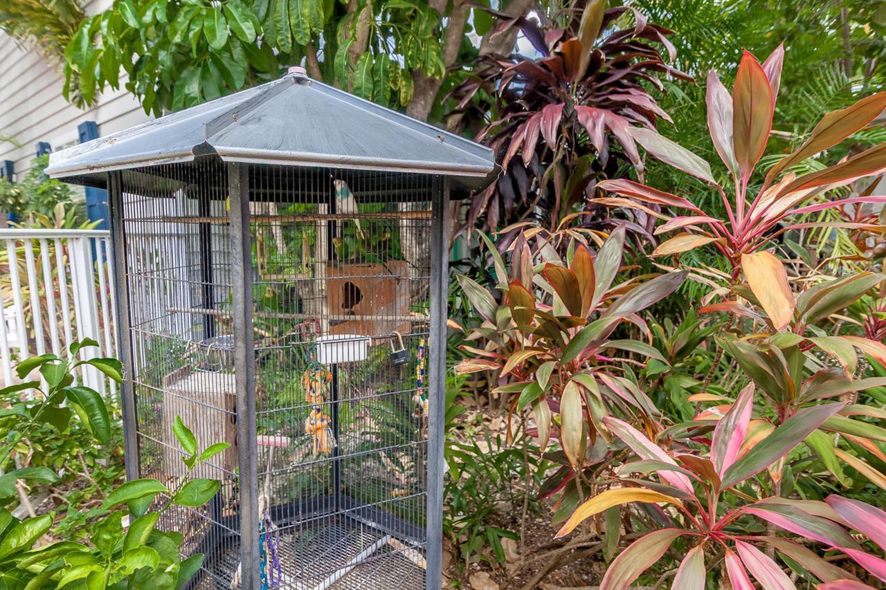 Old Town Garden Villas Key West Rom bilde